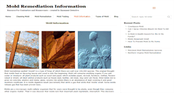 Desktop Screenshot of moldremediation101.com